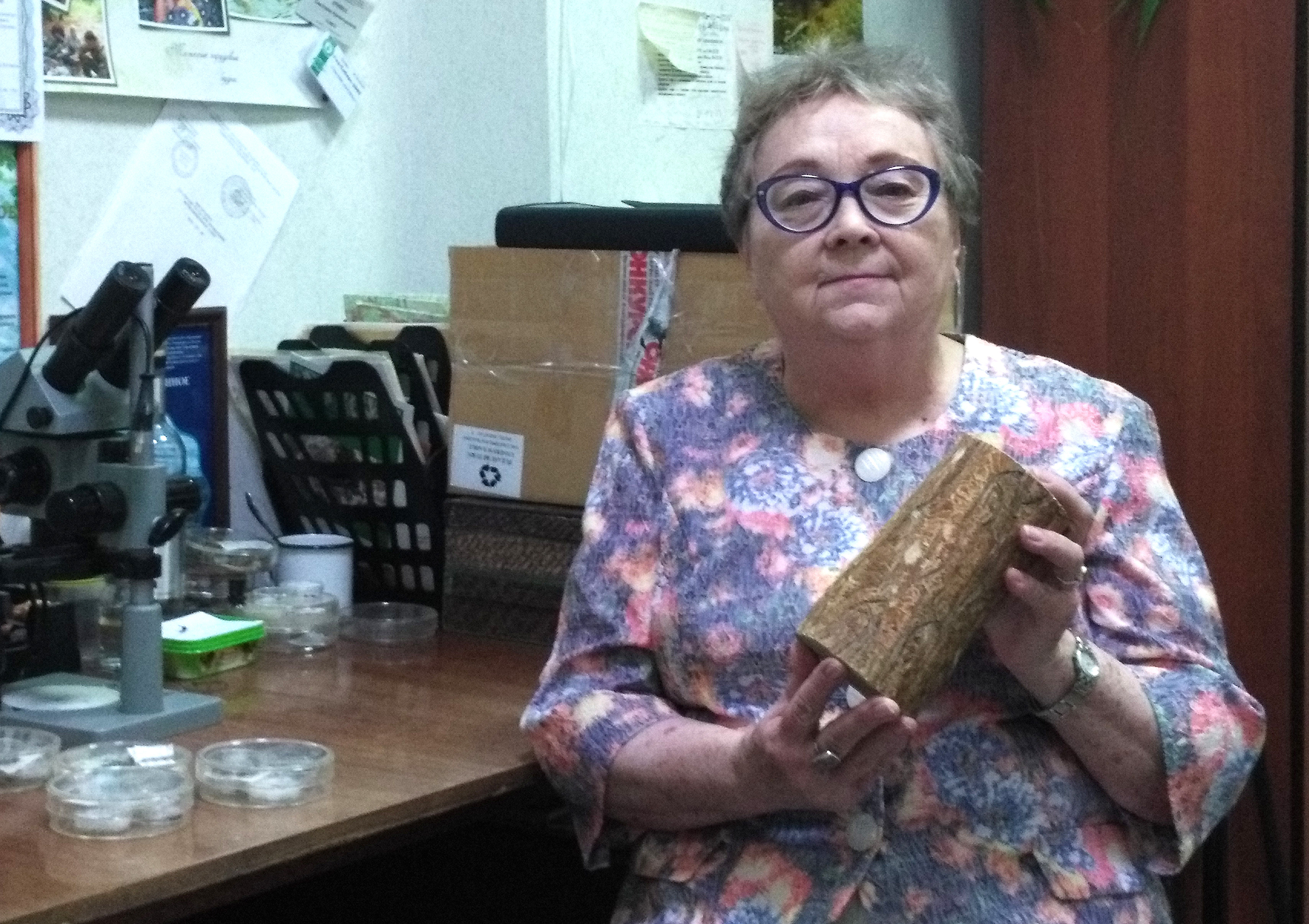 Кандидат биологических наук Светлана Кривец держит фрагмент ствола, поврежденного союзным короедом